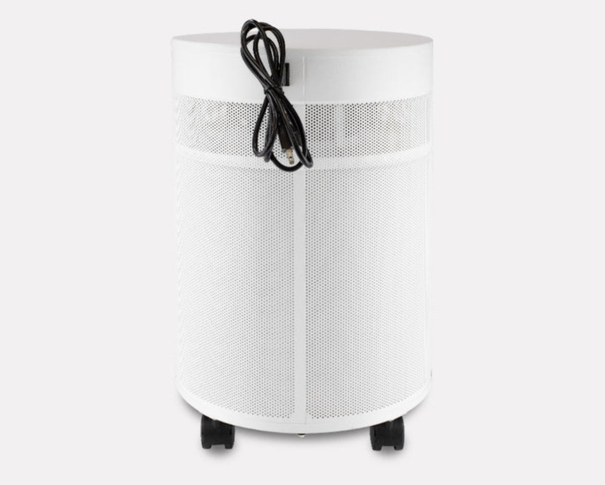 Airpura F600DLX air purifier for Formaldehyde Destruction and Heavy Chemical Gas Filtration, featuring a large carbon bed.