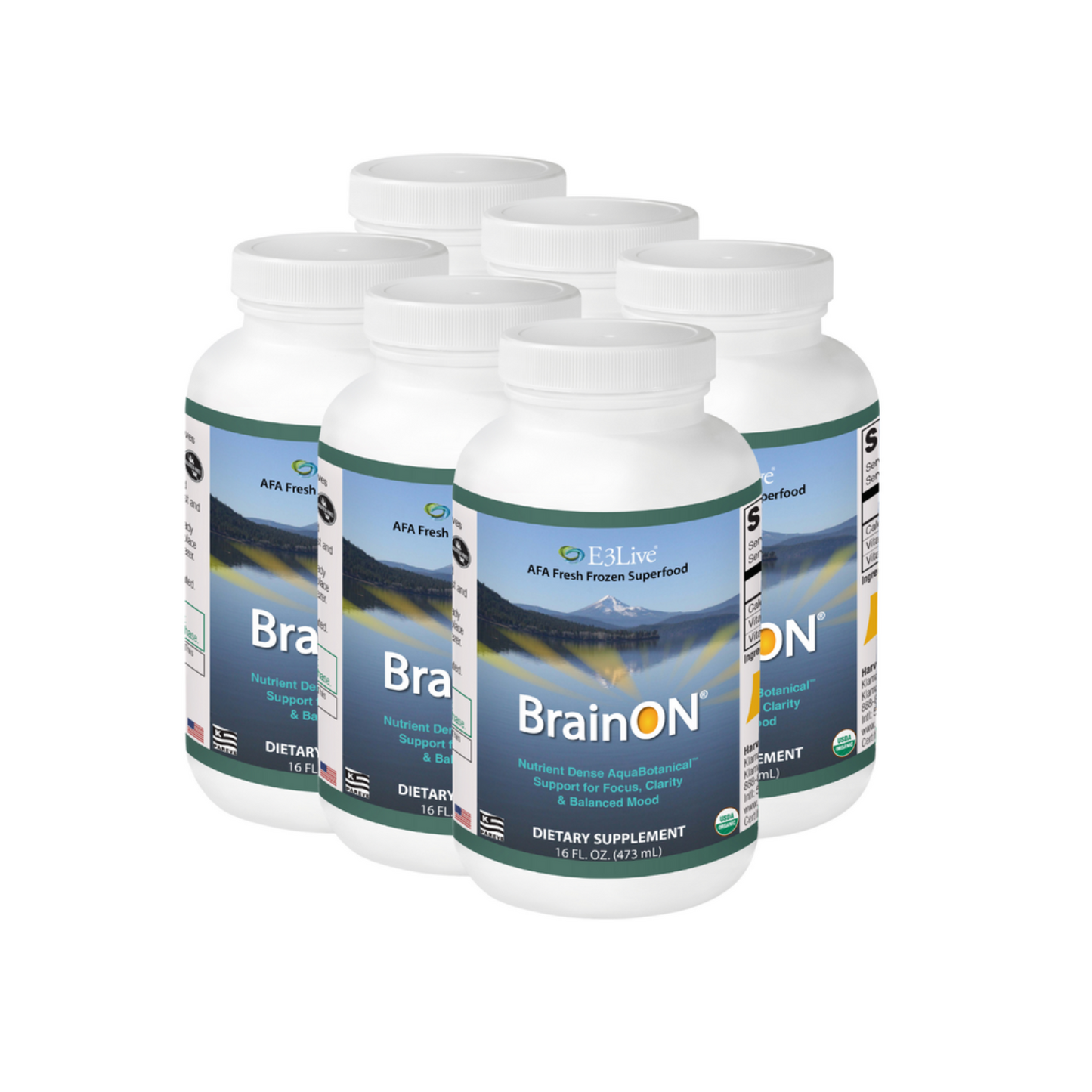 6 white containers with teal and white label with E3Live logo, AFA Fresh Frozen Superfood, BrainON with sun inside the letter O, nutrient dense AquaBotanical support for focus, clarity & balanced mood, dietary supplement, 16oz,background image of mountains and lake reflection