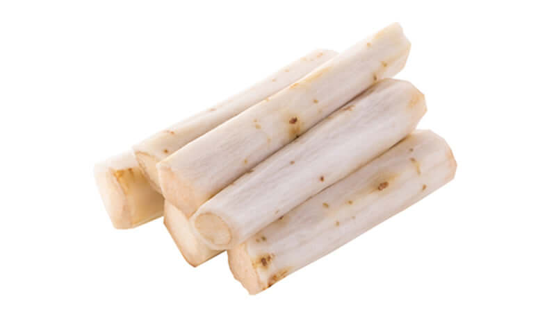 Fresh Burdock Root sticks stacked together on a white background.