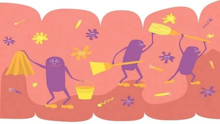 Intestinal Cleansing