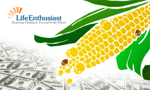 GMO foods impacting elections and immunity in a visual representation with money and corn.