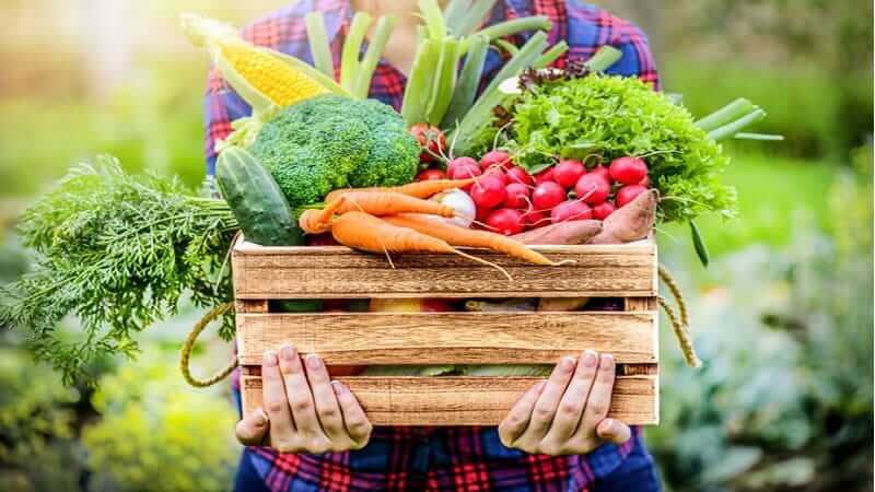 Video Grow Your Own Food: A person holding a wooden crate filled with fresh vegetables like broccoli, carrots, and radishes.