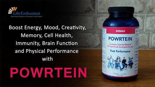 Powrtein supplement bottle showcasing benefits like energy boost and improved mood.