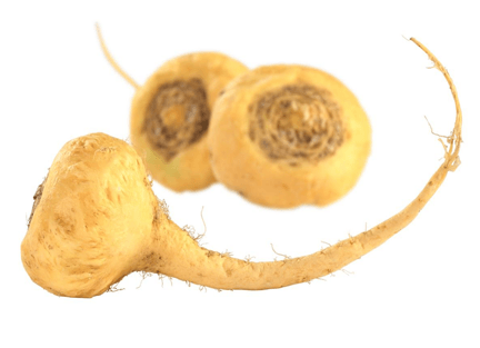 Maca