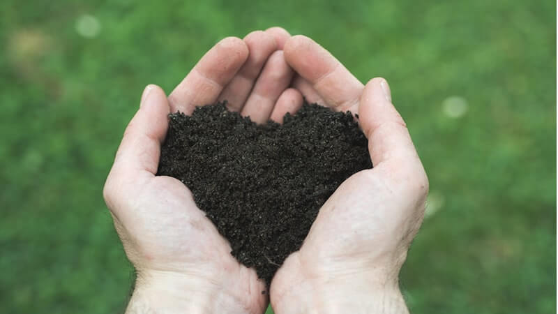 Hands holding soil in a heart shape representing the importance of Fulvic Acid in soil health.