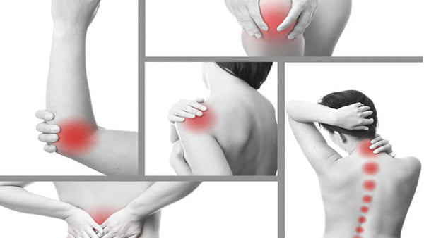 Osteoporosis: The Bones of Contention