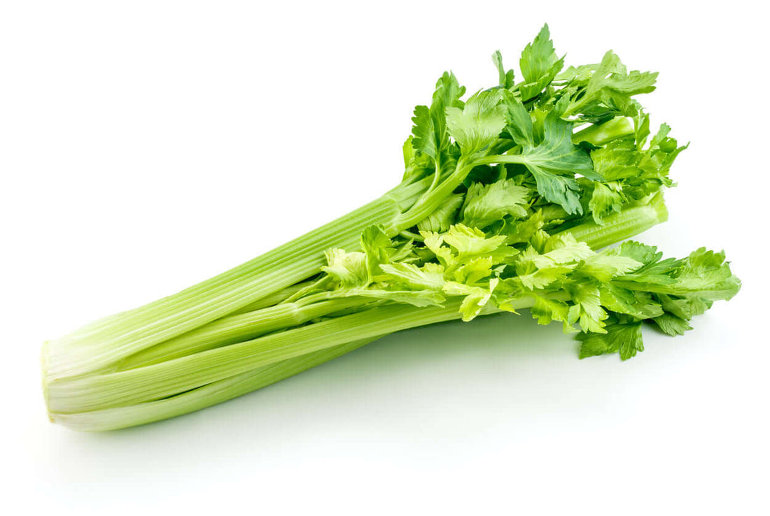 Fresh celery stalks with vibrant green leaves on a white background.
