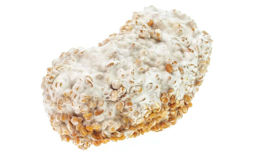 Soy: The Poison Seed, depicting a close-up of a soybean covered in a white coating, highlighting its unique texture.