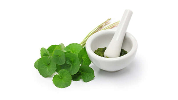 Centella Gotu Kola