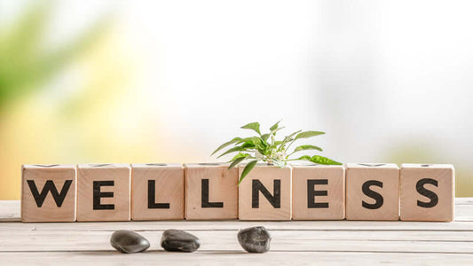 Wooden blocks spelling wellness with stones and plant, representing Life Enthusiast Vision for a balanced life.