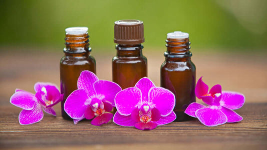 Essential Oils in amber bottles with vibrant purple orchids on a wooden surface.