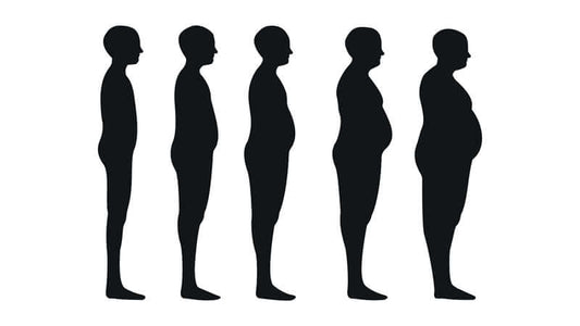 Lipase and Fat Metabolism