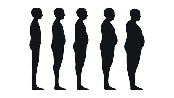 Lipasa y Metabolismo de las Grasas