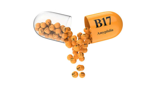 Vitamin B17 and Cancer supplement capsules with B17 amygdalin spilling out.