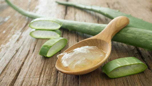 Aloe Vera - Plant of Immortality with fresh gel in a wooden spoon and sliced leaves on a wooden table.