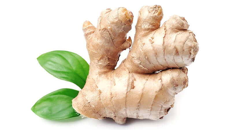 Ginger