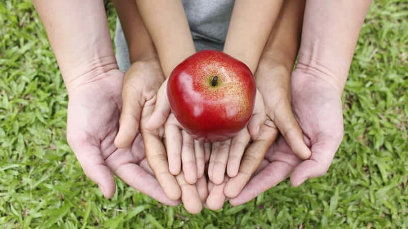 Book: Feed Your Kids Right