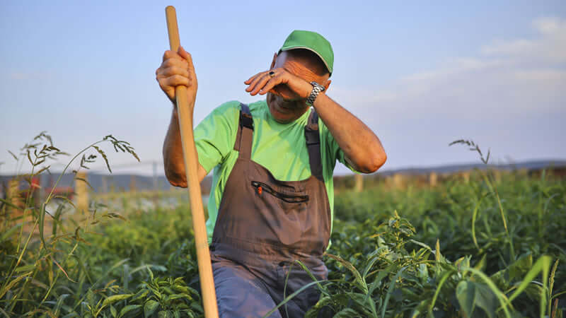 Farmer in green attire wiping sweat while working in the field, representing Our Agricultural Situation.