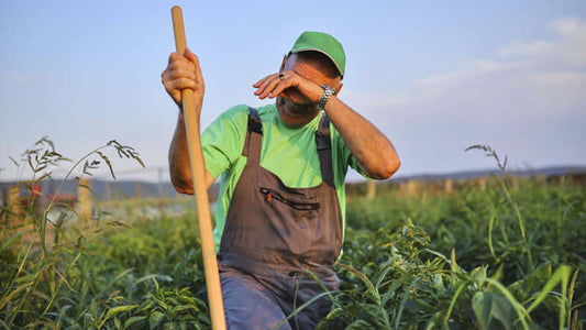 Farmer in green attire wiping sweat while working in the field, representing Our Agricultural Situation.