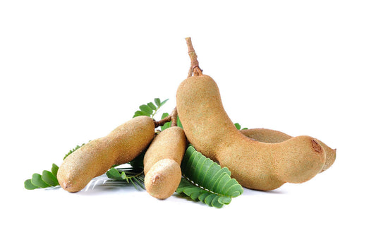 Fresh tamarind pods on green leaves, highlighting benefits in Tamarind Citrimax and Garcinia.