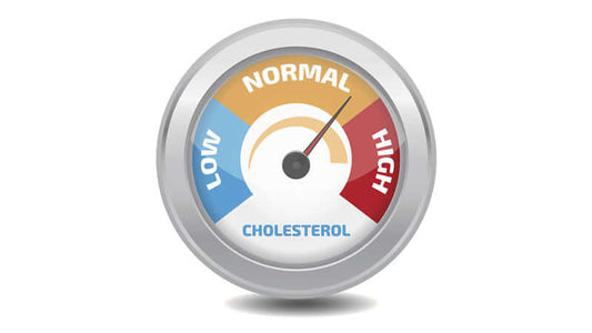 Gauge showing cholesterol levels from low to high, representing the Truth About Cholesterol.