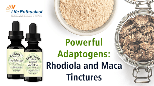 Powerful Adaptogens: Rhodiola Root and Maca Root tinctures featured in an image.