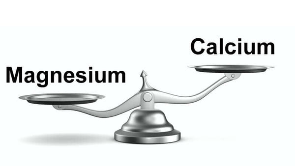Magnesium and Calcium MUST BE Balanced