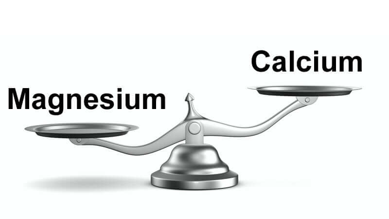 Scales balancing Magnesium and Calcium, emphasizing that Magnesium and Calcium MUST BE Balanced.