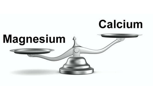 Scales balancing Magnesium and Calcium, emphasizing that Magnesium and Calcium MUST BE Balanced.