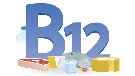 Vitamin B12 food sources like meat, fish, dairy, and cheese, highlighting the importance of Vitamin B12.