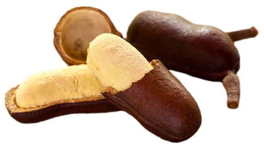 Jatoba fruits showing the outer shell and creamy inner pulp of the Jatoba pod.