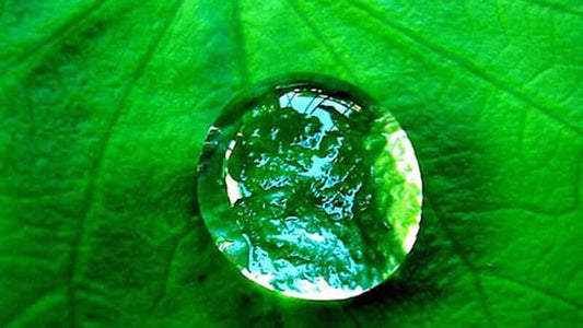 Energized Water by Dr. Ron Cusson