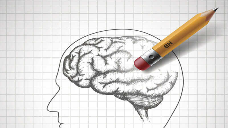 Illustration of a brain sketch with a pencil labeled '8H', symbolizing thoughts on Excitotoxins Ultimate Brainslayer.