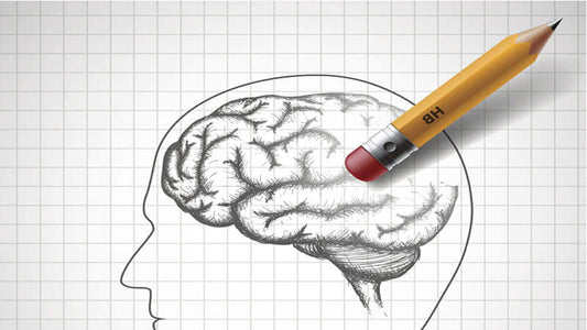 Illustration of a brain sketch with a pencil labeled '8H', symbolizing thoughts on Excitotoxins Ultimate Brainslayer.