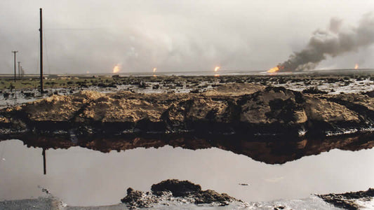 Depleted Uranium, Anthrax Vaccine and the Gulf War Syndrome