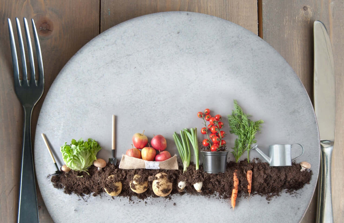 Plate with soil and fresh vegetables illustrating the Humic and Fulvic Acids Benefits for gardening and health.