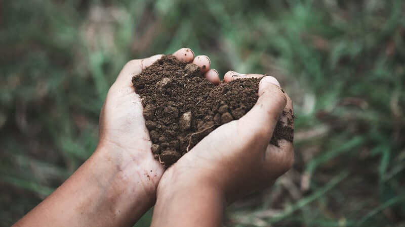 Hands holding rich soil, representing Humic Acid from Journal of Applied Biomedicine.
