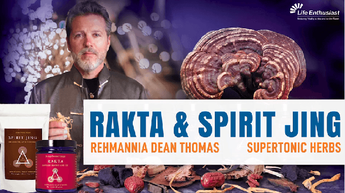 Image of Rehmannia Dean Thomas discussing RAKTA & SPIRIT JING with supertonic herbs in a vibrant setting.
