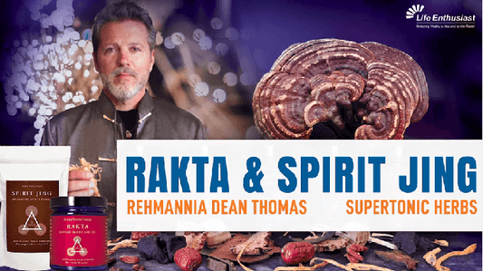 Image of Rehmannia Dean Thomas discussing RAKTA & SPIRIT JING with supertonic herbs in a vibrant setting.