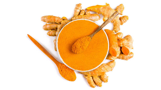 Turmeric powder and fresh turmeric roots on a white background, showcasing the vibrant color of Turmeric.
