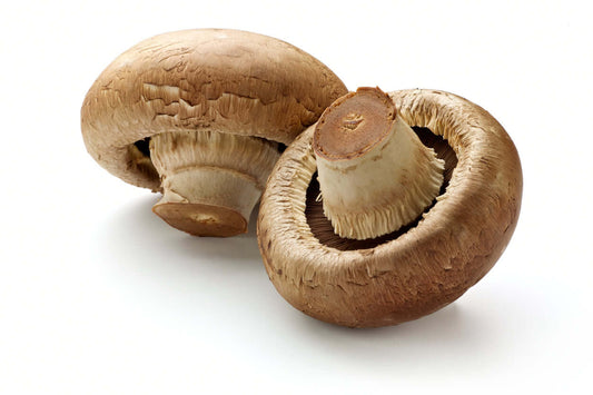 Fresh mushrooms showcasing their texture and features, emphasizing mushrooms benefits in nutrition.