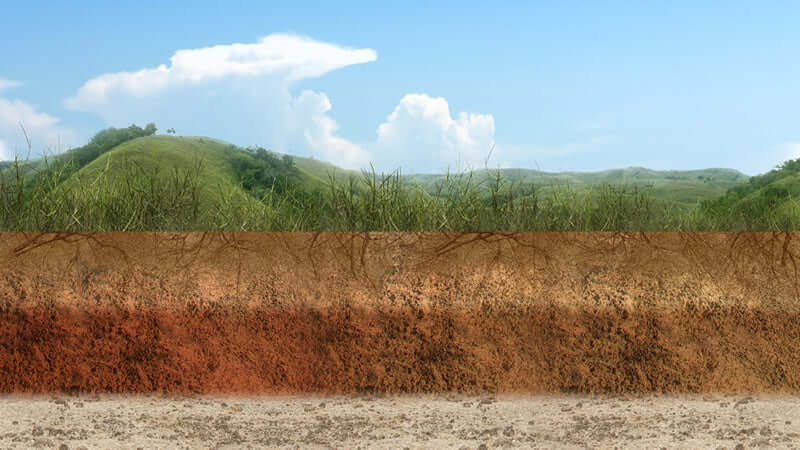 Humic Acid Effects on Animals and Humans, showing layers of soil and vegetation in a natural landscape.
