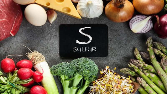 The Sulfur Study and Cancer display with fresh vegetables and sulfur symbol.