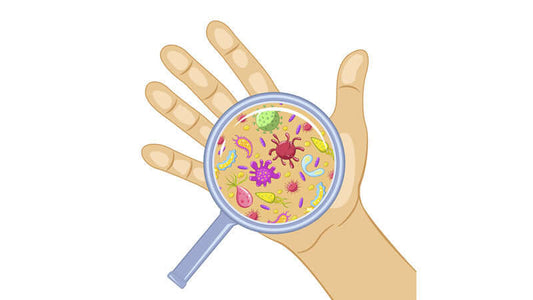 Illustration of a hand holding a magnifying glass over germs, symbolizing the Post-Antibiotic Age Germ Theory.