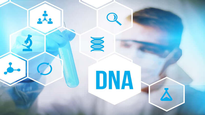 EpiGenetics