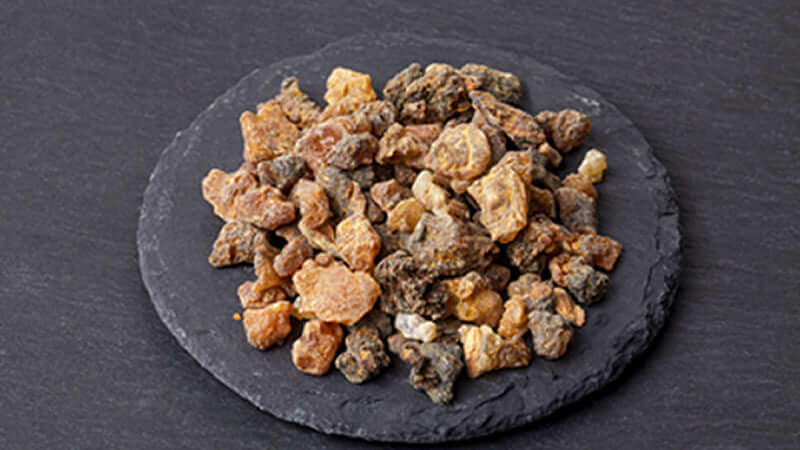 Guggul resin pieces displayed on a black slate plate, showcasing their natural textures and colors.