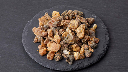 Guggul resin pieces displayed on a black slate plate, showcasing their natural textures and colors.