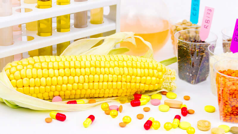 GMO Corn with colorful capsules and vials representing genetic research and modifications in agriculture.