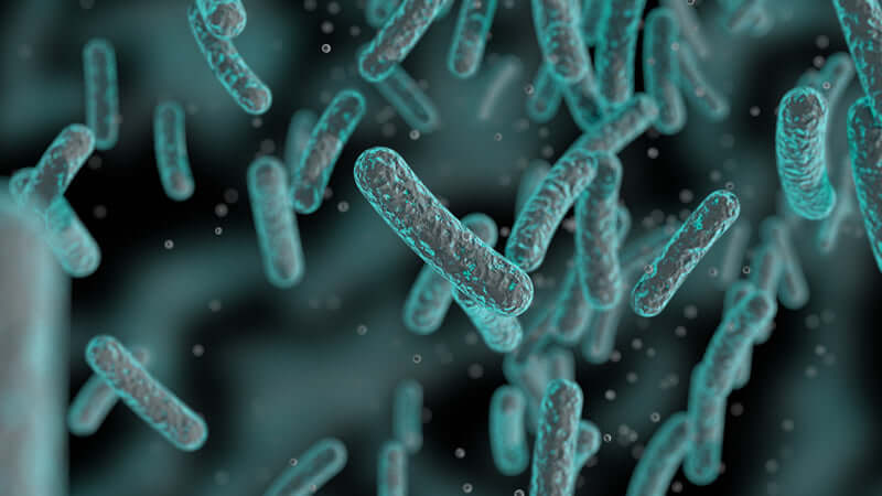 Mycoplasma: Linking Pathogen