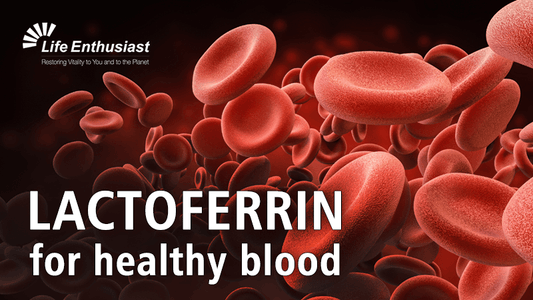 Red blood cells illustrating LACTOFERRIN for healthy blood in The Biology of Lactoferrin